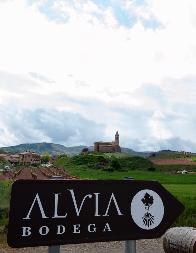 Red Wine Mileto Crianza-Bodegas Alvia