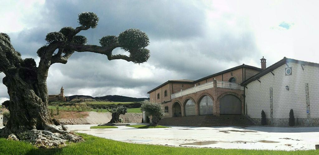 Red Wine Mileto Crianza-Bodegas Alvia