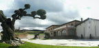 Red Wine Mileto Crianza-Bodegas Alvia
