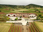 Red Wine Mileto Crianza-Bodegas Alvia