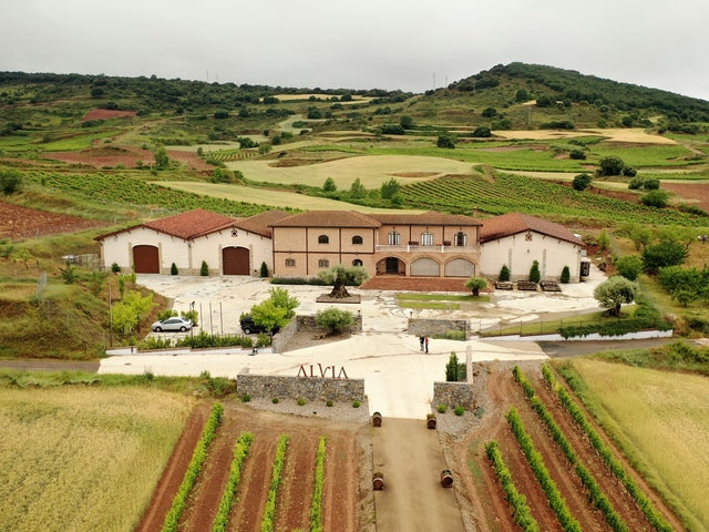 Red Wine Mileto Crianza-Bodegas Alvia