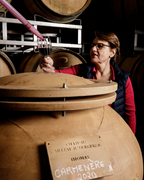 Red Wine Prestige | Chateau Cailleteau Bergeron | Powerful Yet Elegant Bordeaux