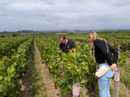 Champagne Blanc de Blancs-Roger Manceaux