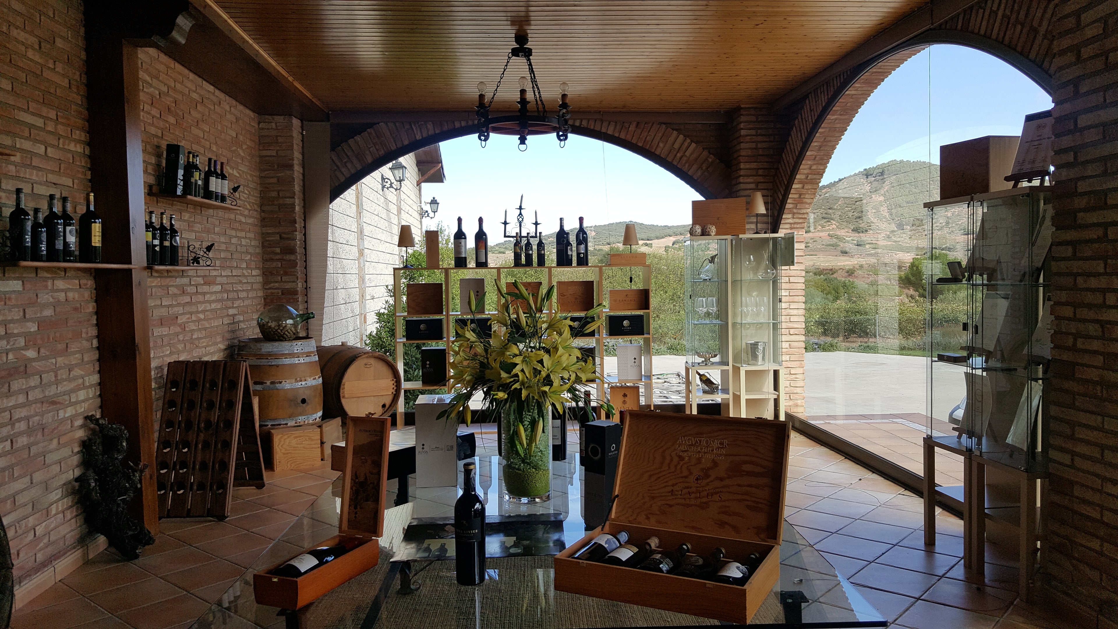 Red Wine Mileto Crianza-Bodegas Alvia