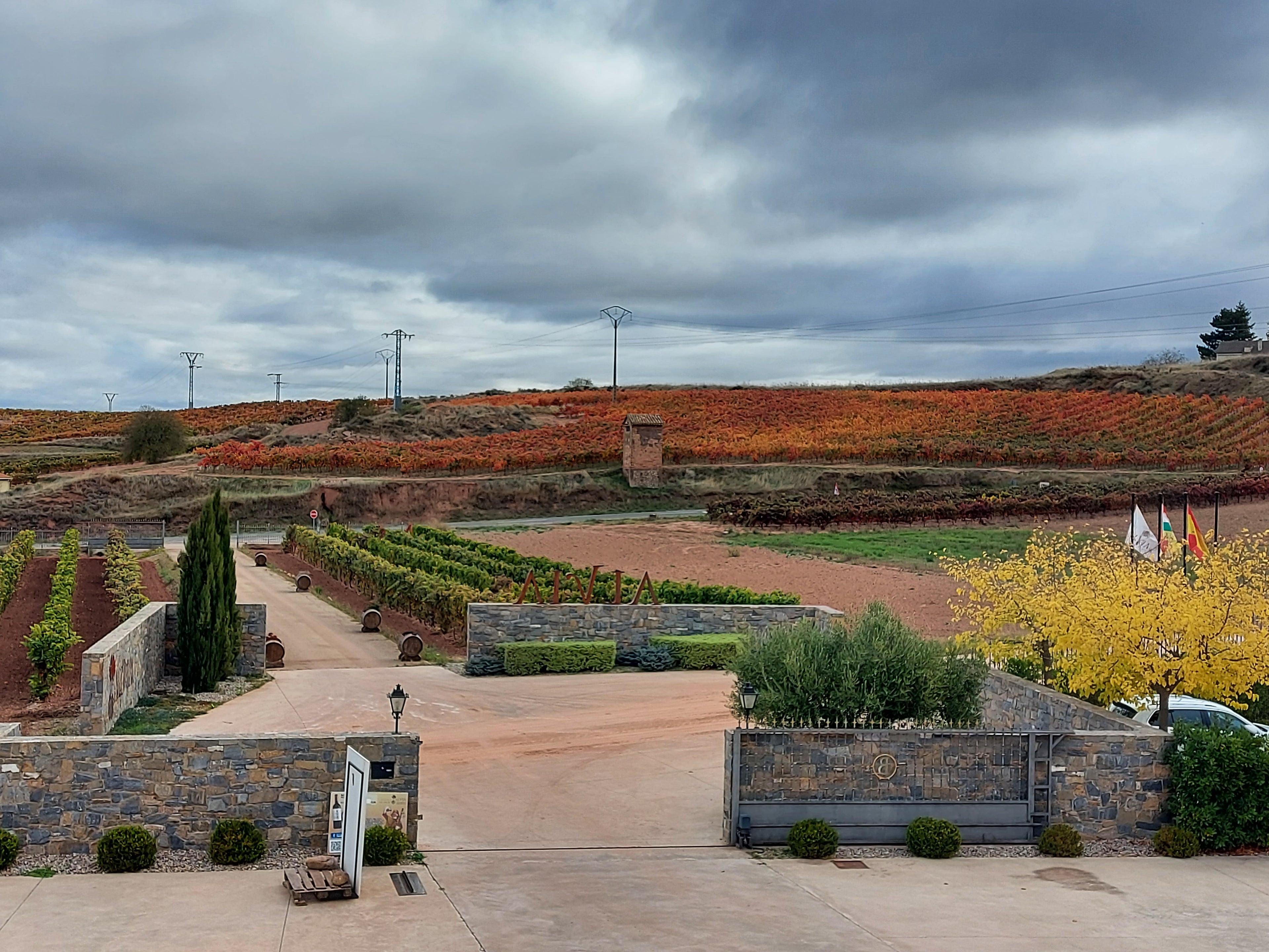 Red Wine Mileto Crianza-Bodegas Alvia