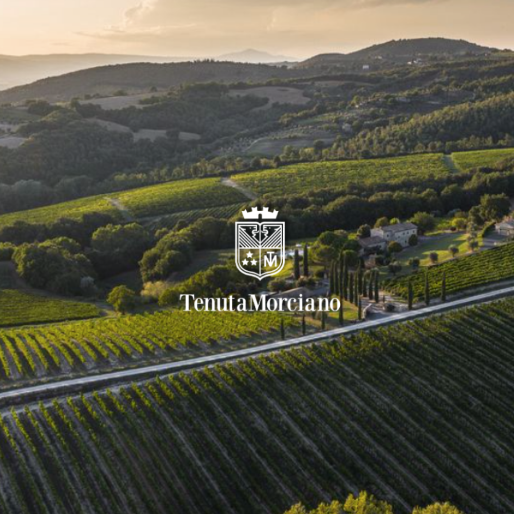 White Wine Montemarte | Tenuta Morciano | Refined, Textured Sauvignon Blanc from Umbria