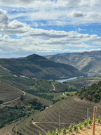 Pata d’Urso Branco 2020 | Concentrated, Mineral & Rare