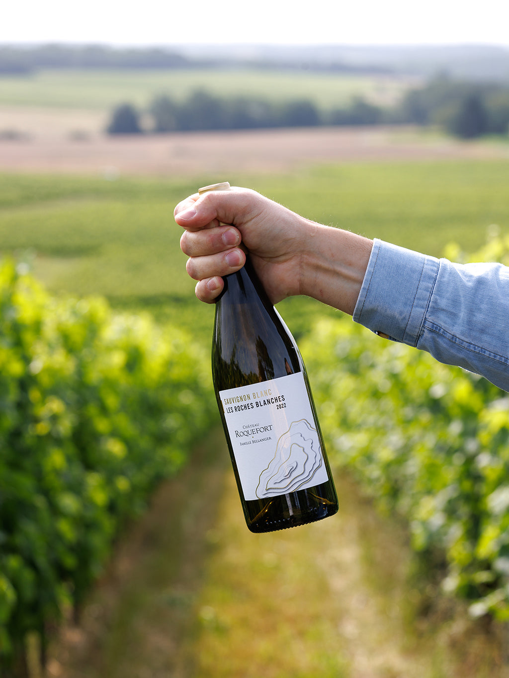 White Wine Les Roches Blanches-Chateau Roquefort