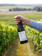White Wine Les Roches Blanches-Chateau Roquefort
