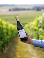 White Wine Les Roches Blanches-Chateau Roquefort