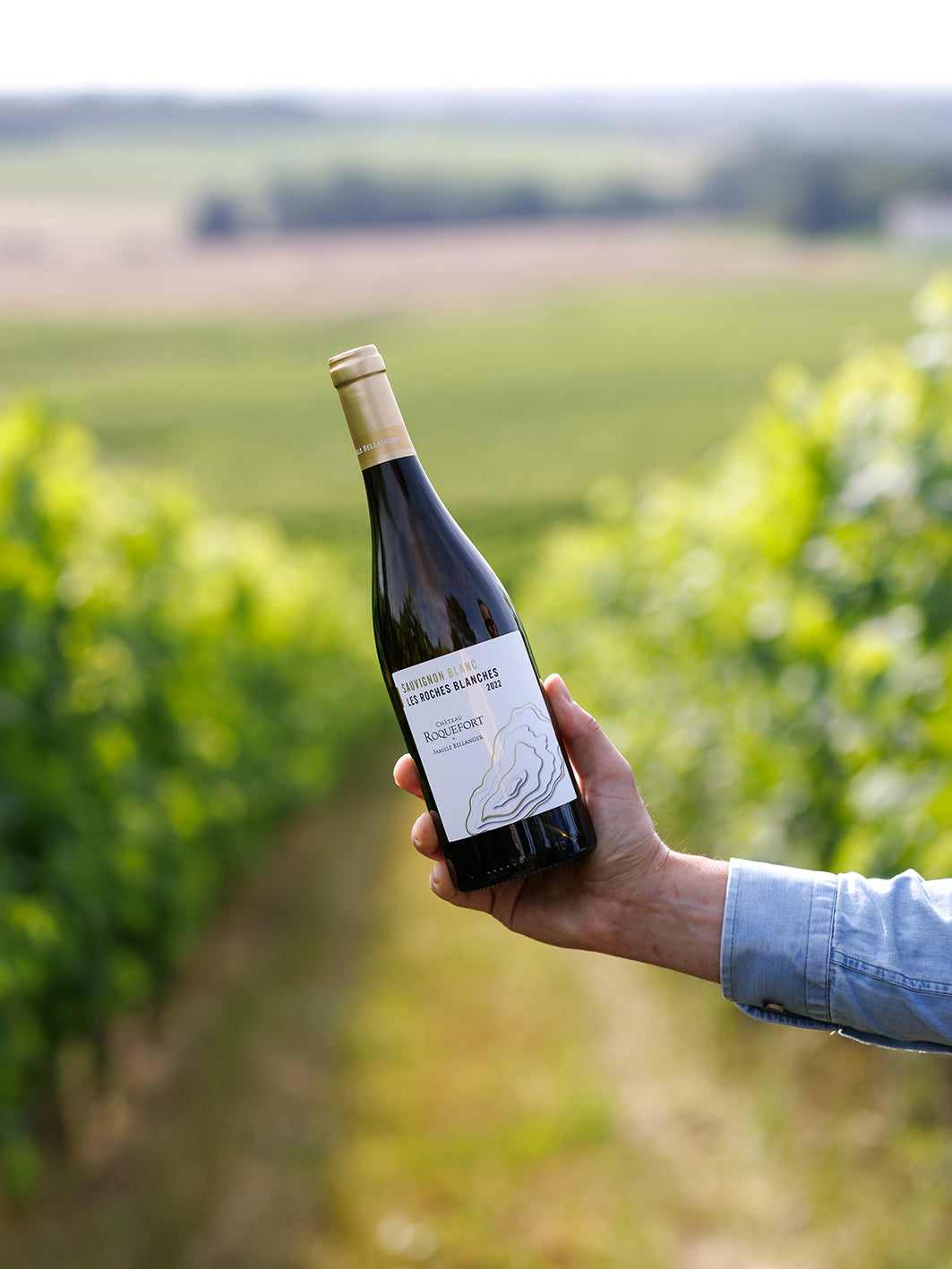 White Wine Les Roches Blanches-Chateau Roquefort