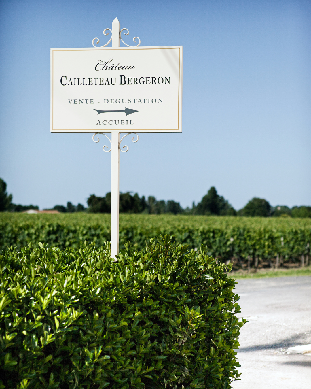 Red Wine Oz de Cailleteau-Chateau Cailleteau Bergeron