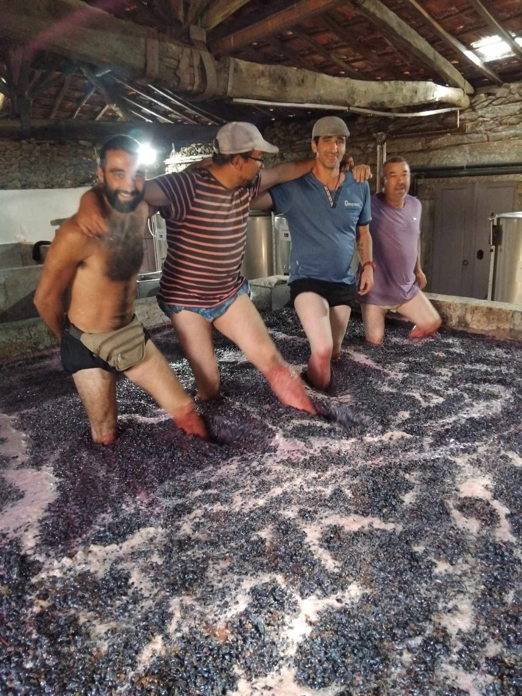 Pata d’Urso Rosé 2021 | Structured, Complex & Gastronomic