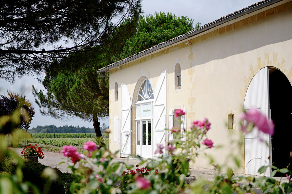 Red Wine Graves Rouge 2015-Chateau Tourteau Chollet