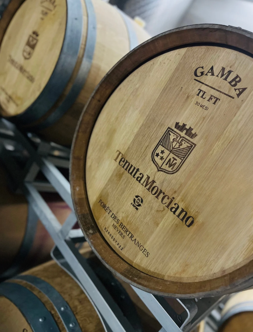 Red Wine Pagliano-Tenuta Morciano