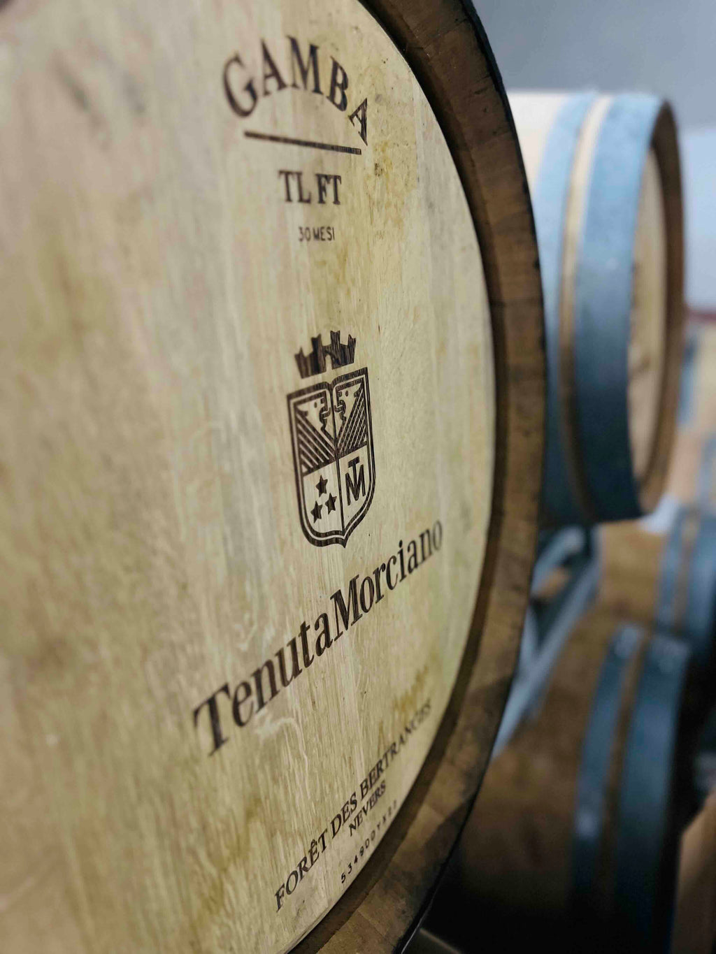 Red Wine Pagliano-Tenuta Morciano