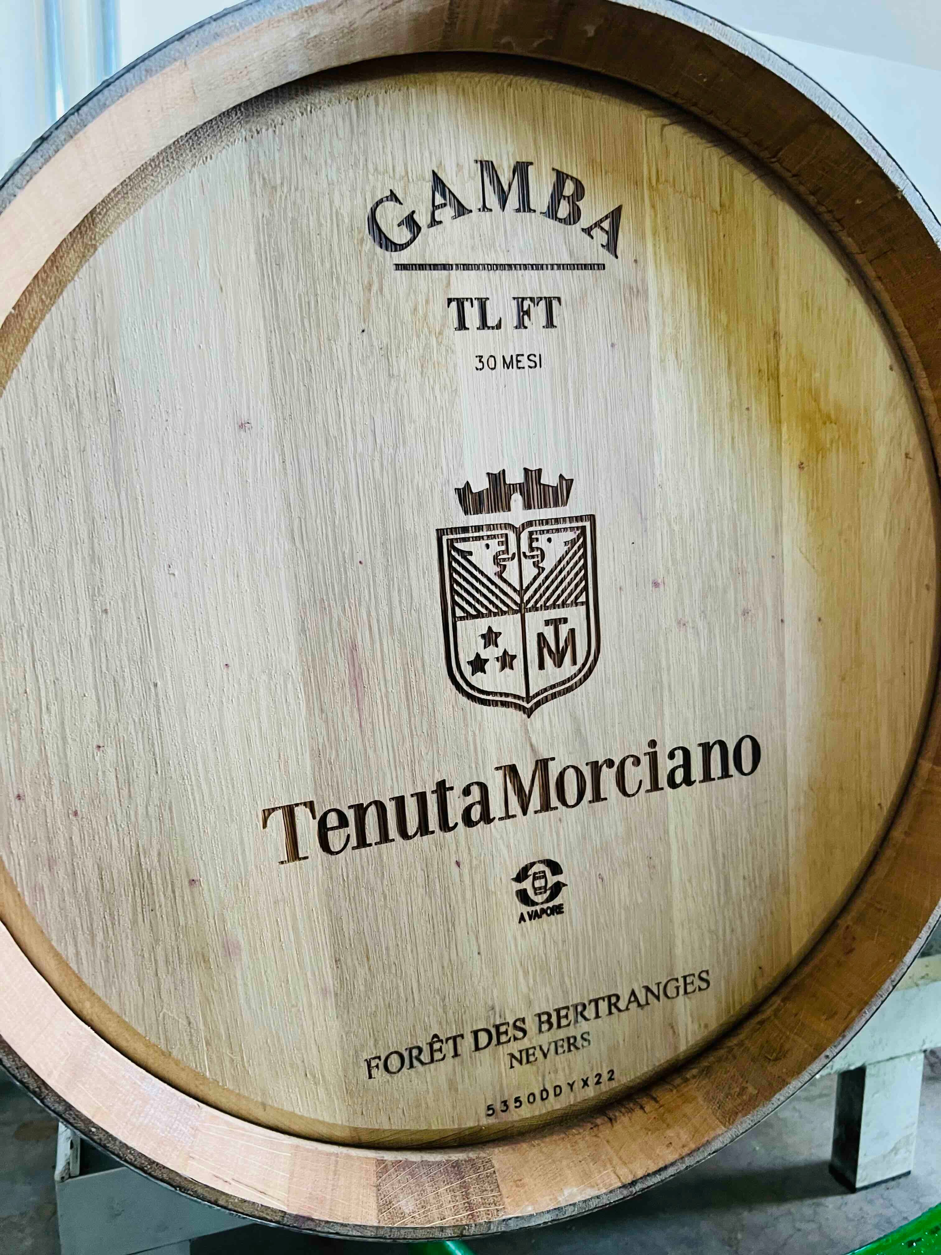 Red Wine Pagliano-Tenuta Morciano