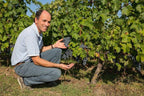 Red Wine Excellence-Vignobles Heurlier