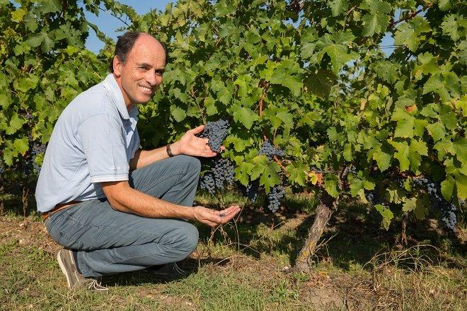Red Wine Excellence-Vignobles Heurlier