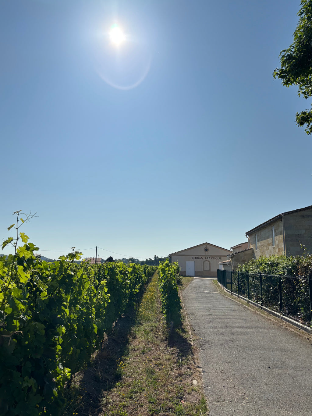 Red Wine Graves Rouge 2015-Chateau Tourteau Chollet