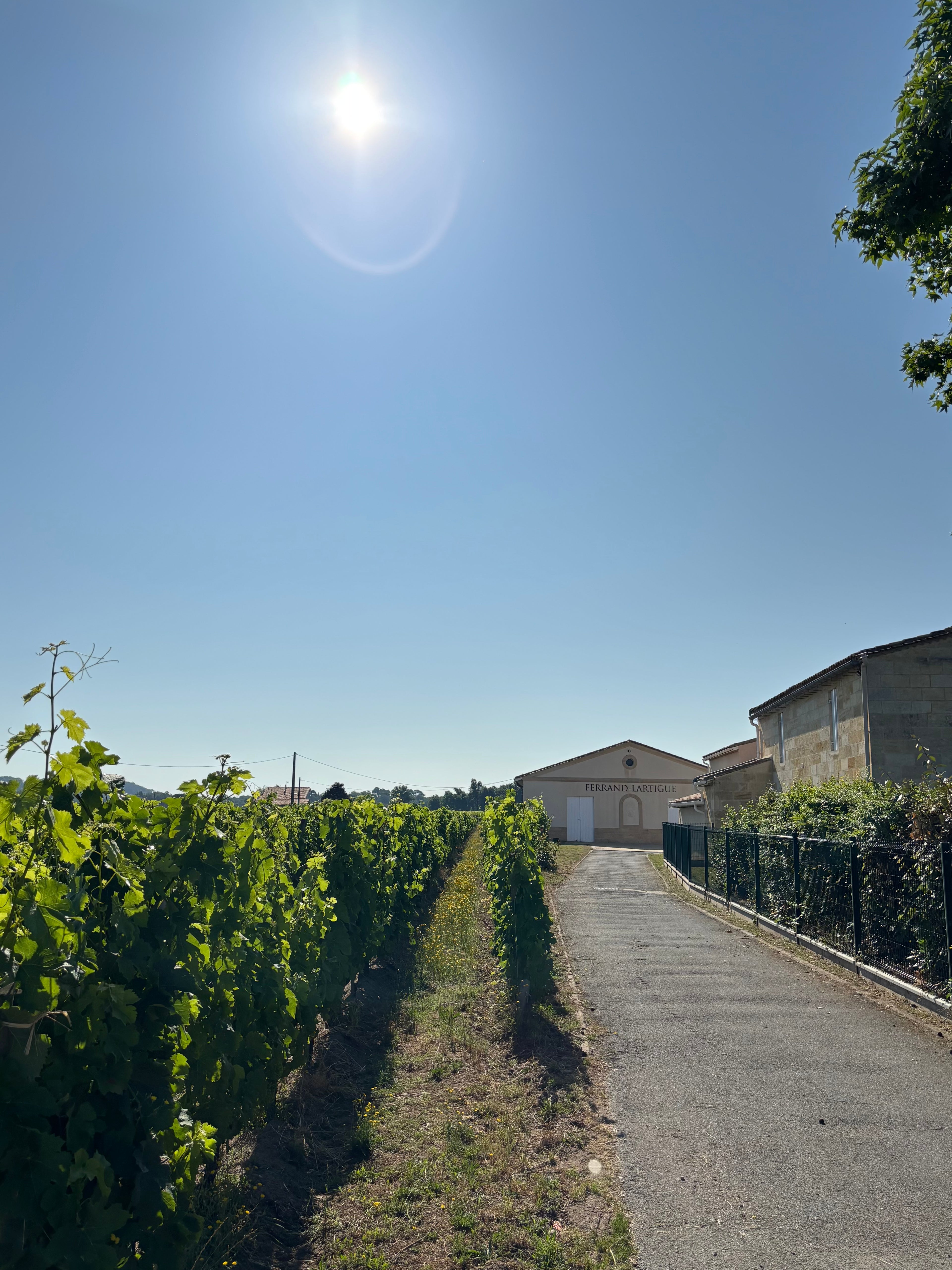 Red Wine Graves Rouge 2015-Chateau Tourteau Chollet