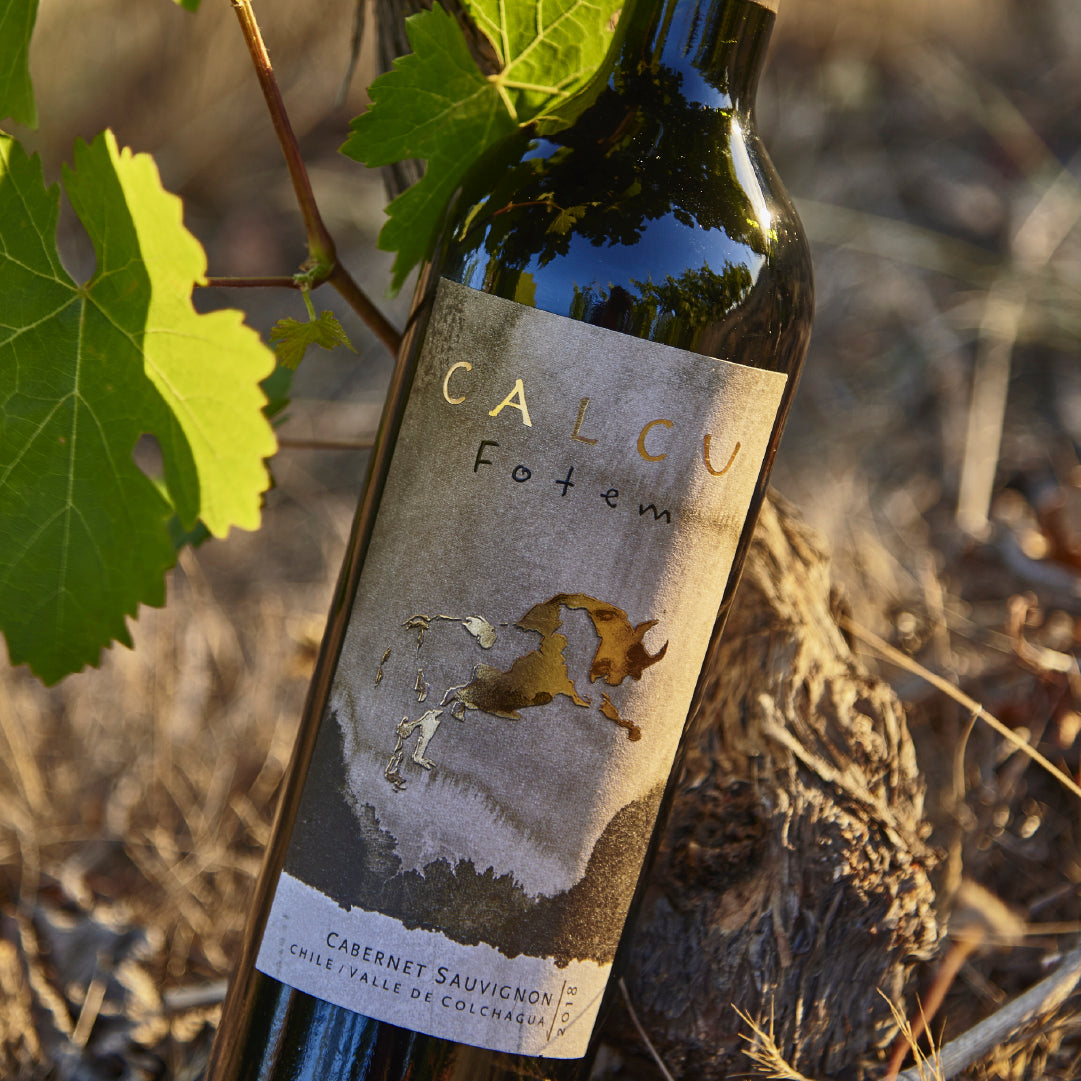 Red Wine Fotem-Calcu