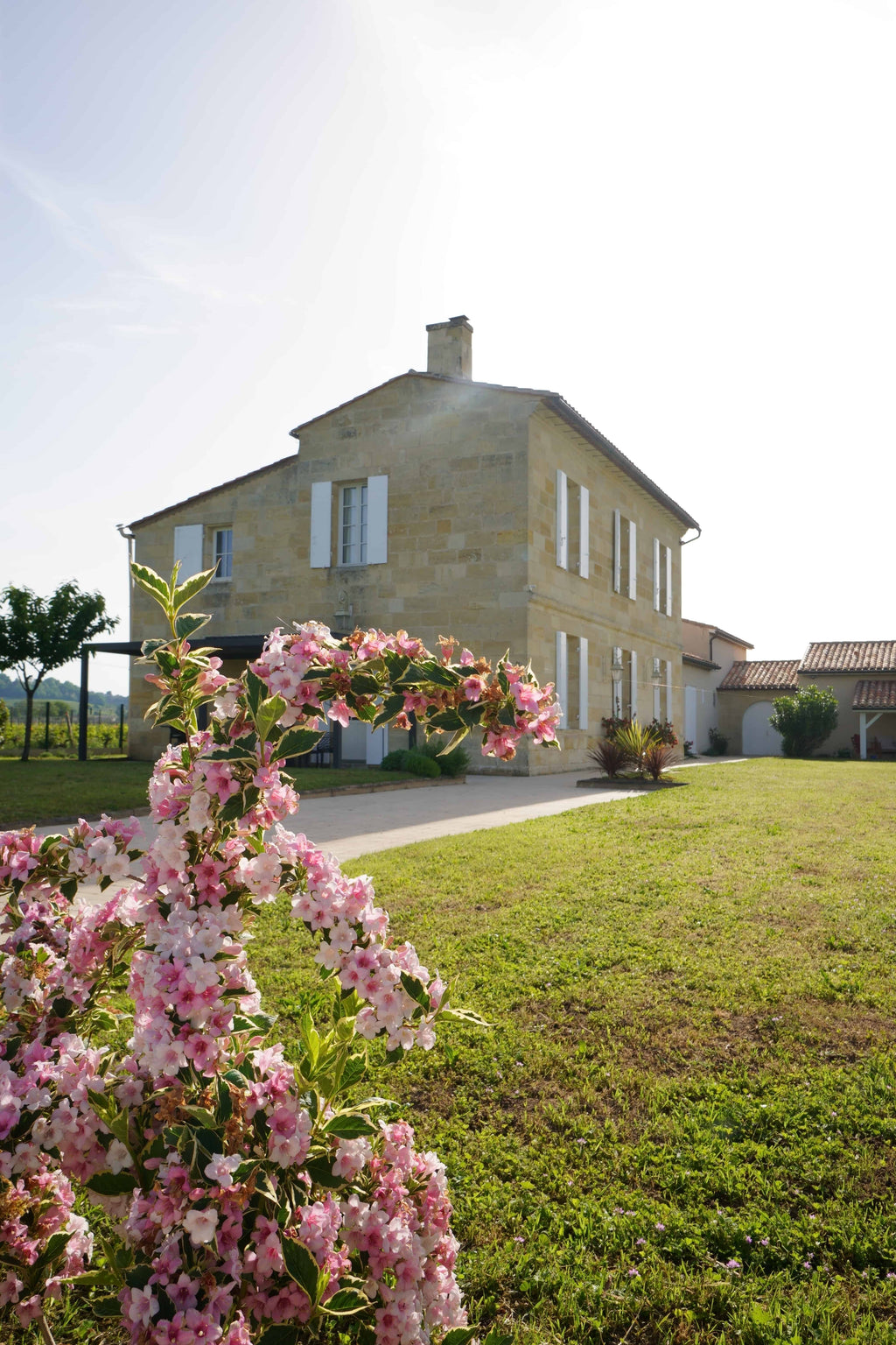 Red Wine Saint-Emilion Grand Cru 2015 | Chateau Ferrand Lartigue | A Wine to Treasure