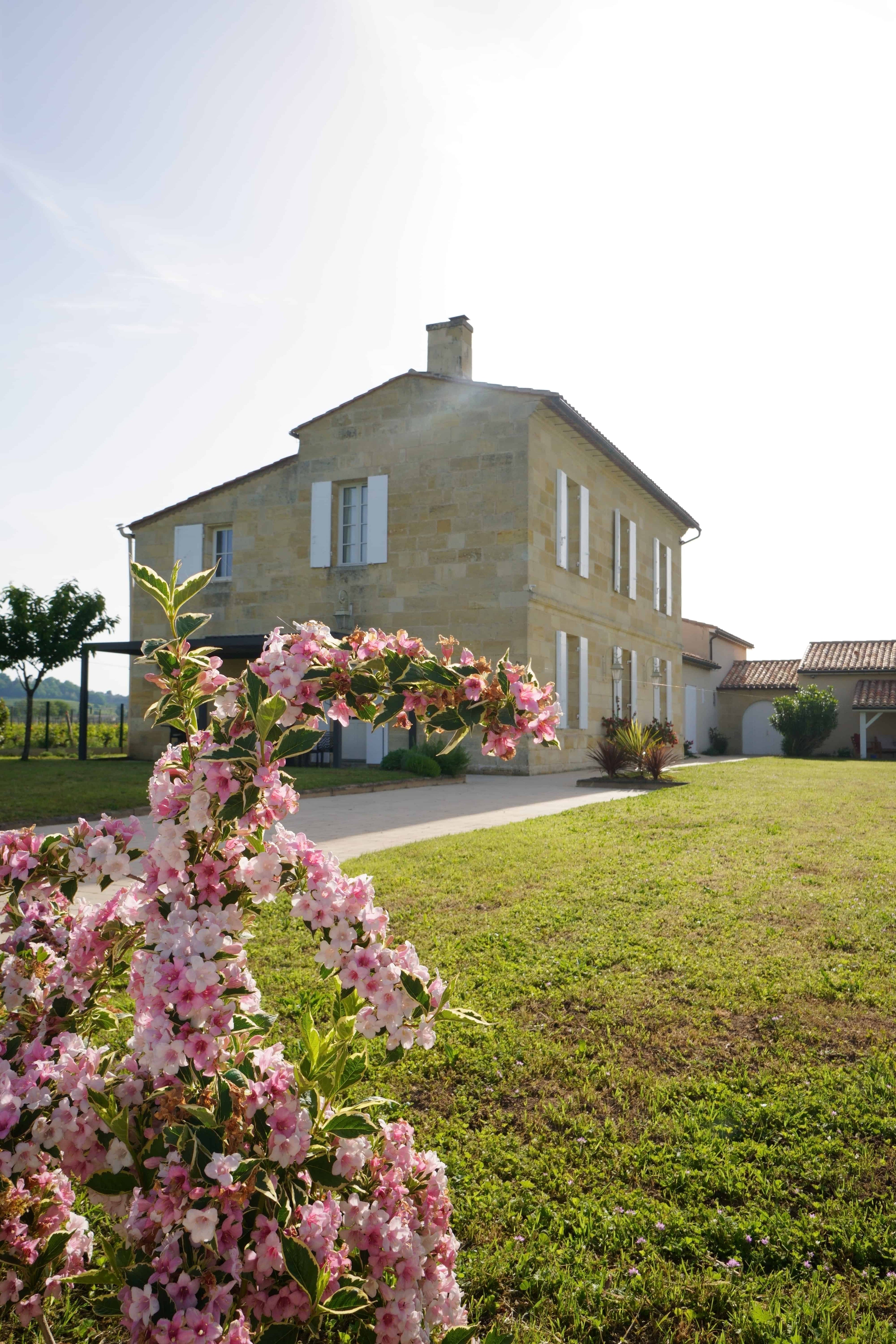 Red Wine Saint-Emilion Grand Cru 2015 | Chateau Ferrand Lartigue | A Wine to Treasure