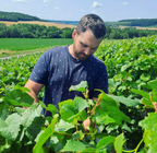 Champagne 100% Meunier-Bruyen