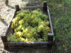 Red Wine Excellence-Vignobles Heurlier