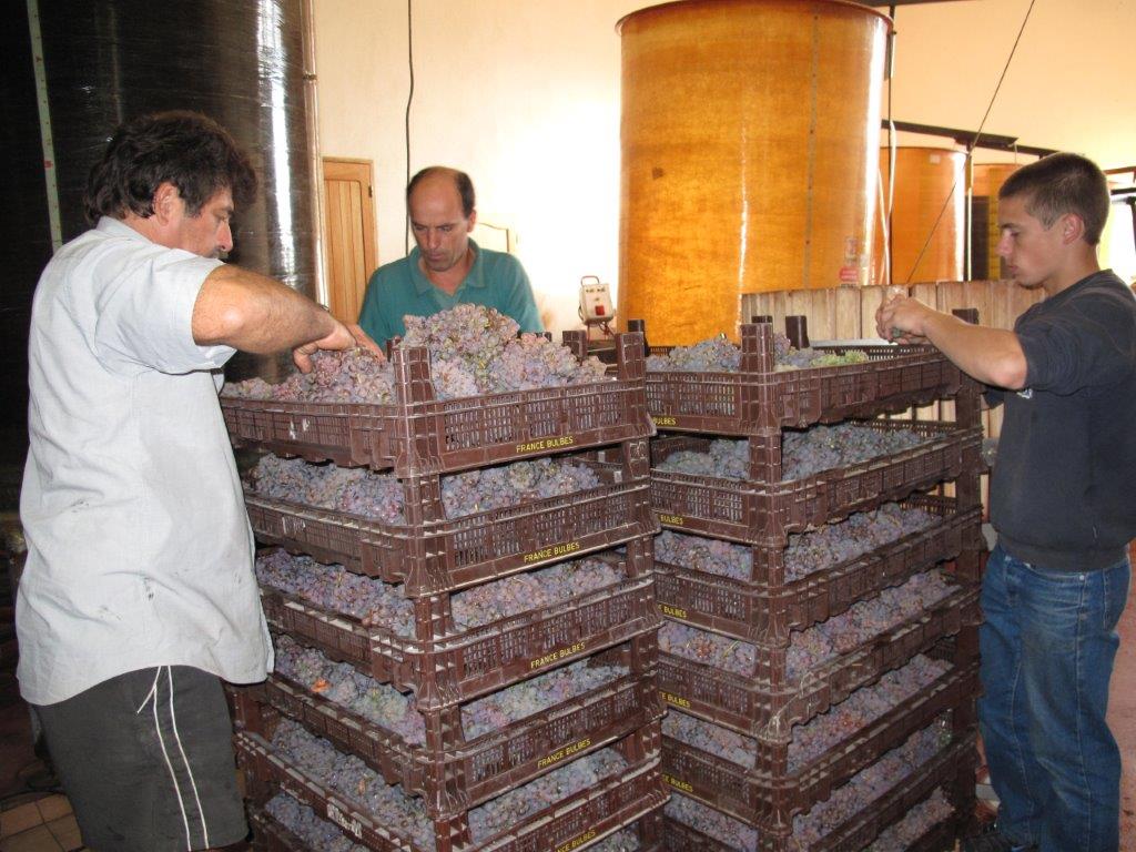Red Wine Excellence-Vignobles Heurlier