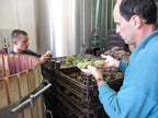 Red Wine Excellence-Vignobles Heurlier