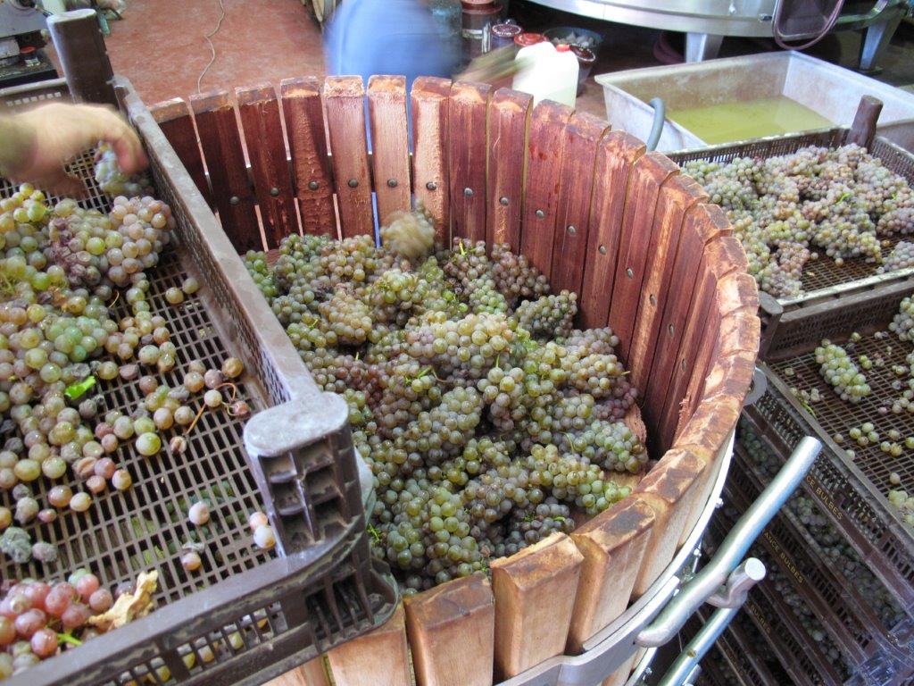Red Wine Excellence-Vignobles Heurlier