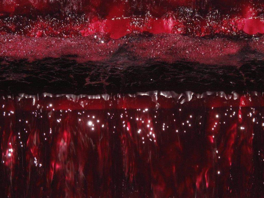 Red Wine Excellence-Vignobles Heurlier