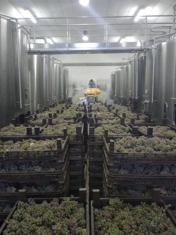 Red Wine Excellence-Vignobles Heurlier