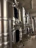 Champagne Blanc de Blancs-Roger Manceaux