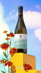 White Wine Arena-Tenuta Morciano