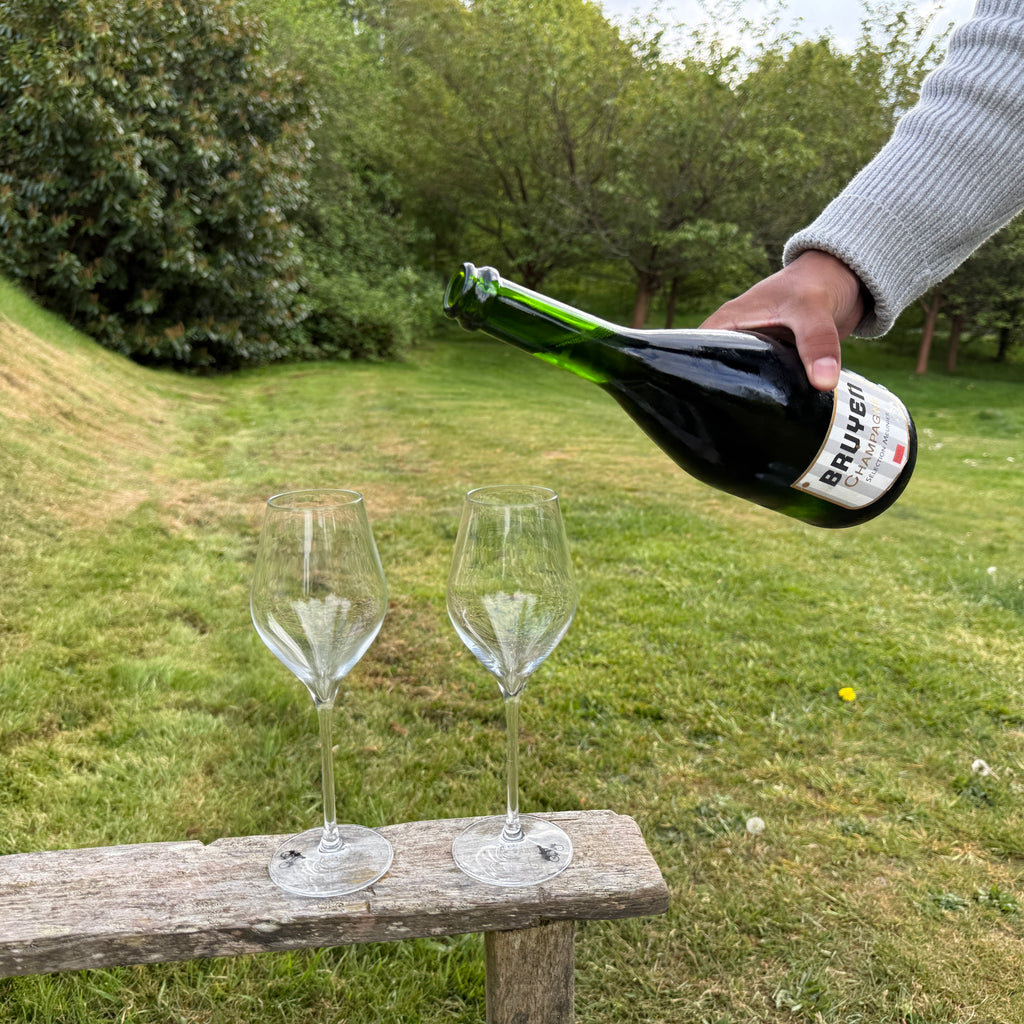 Champagne 100% Meunier-Bruyen