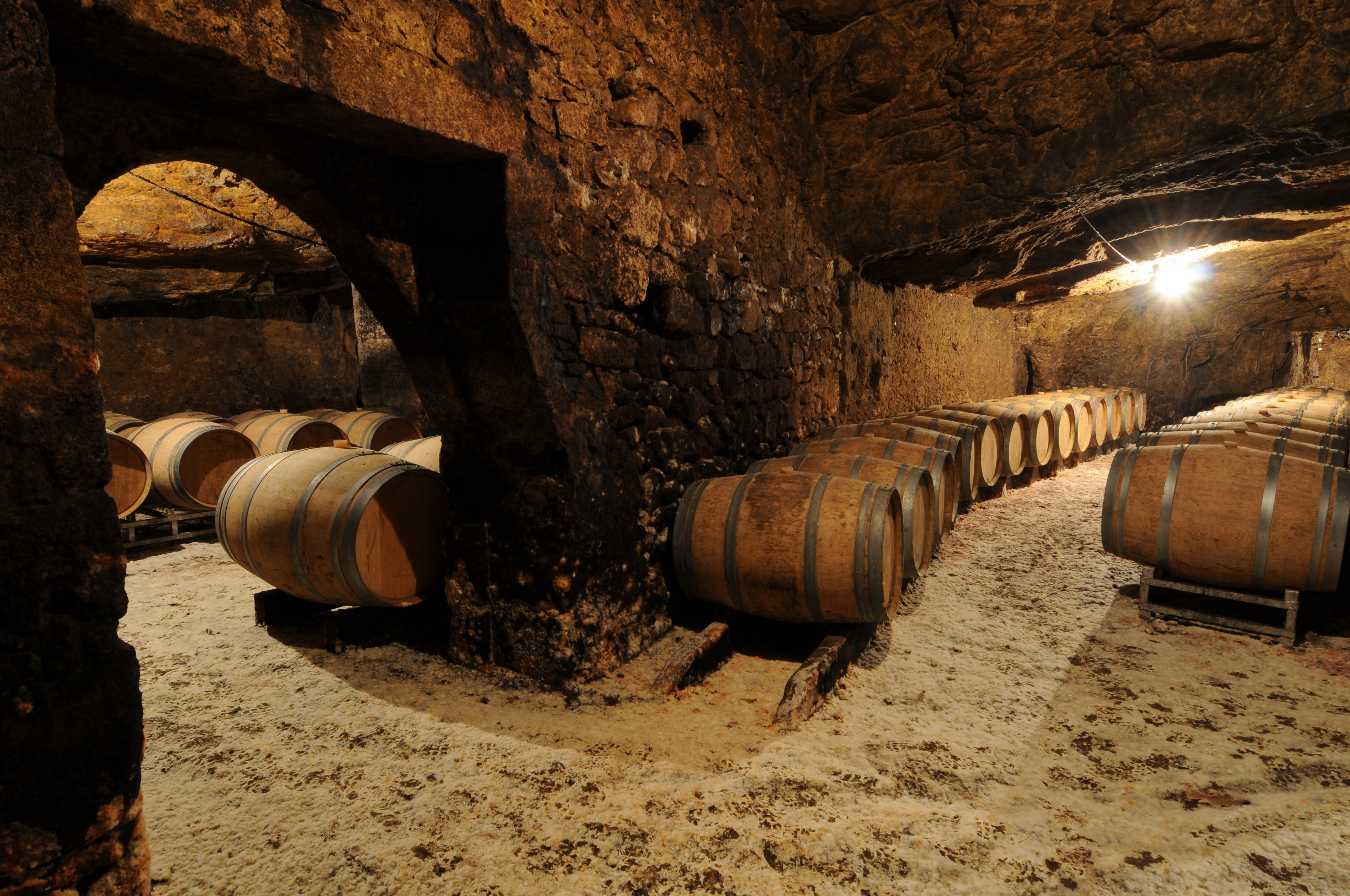 Red Wine Bordeaux Superieur 2022-Vignobles Dulon