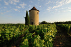 Red Wine Bordeaux Superieur 2022-Vignobles Dulon