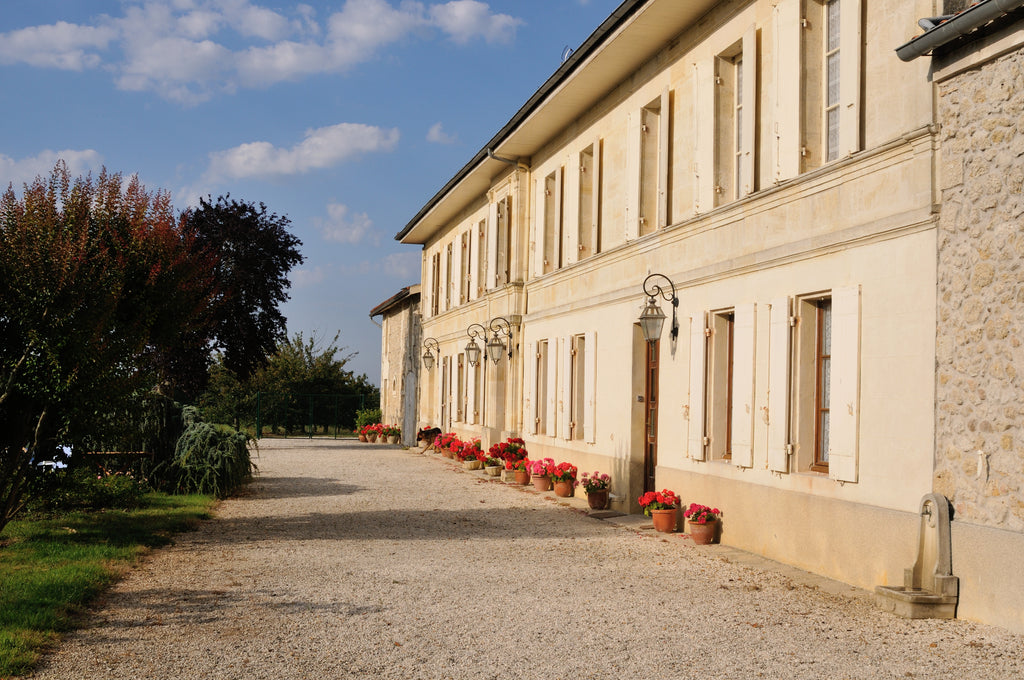 Red Wine Bordeaux Superieur 2022-Vignobles Dulon