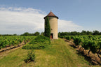 Red Wine Bordeaux Superieur 2022-Vignobles Dulon