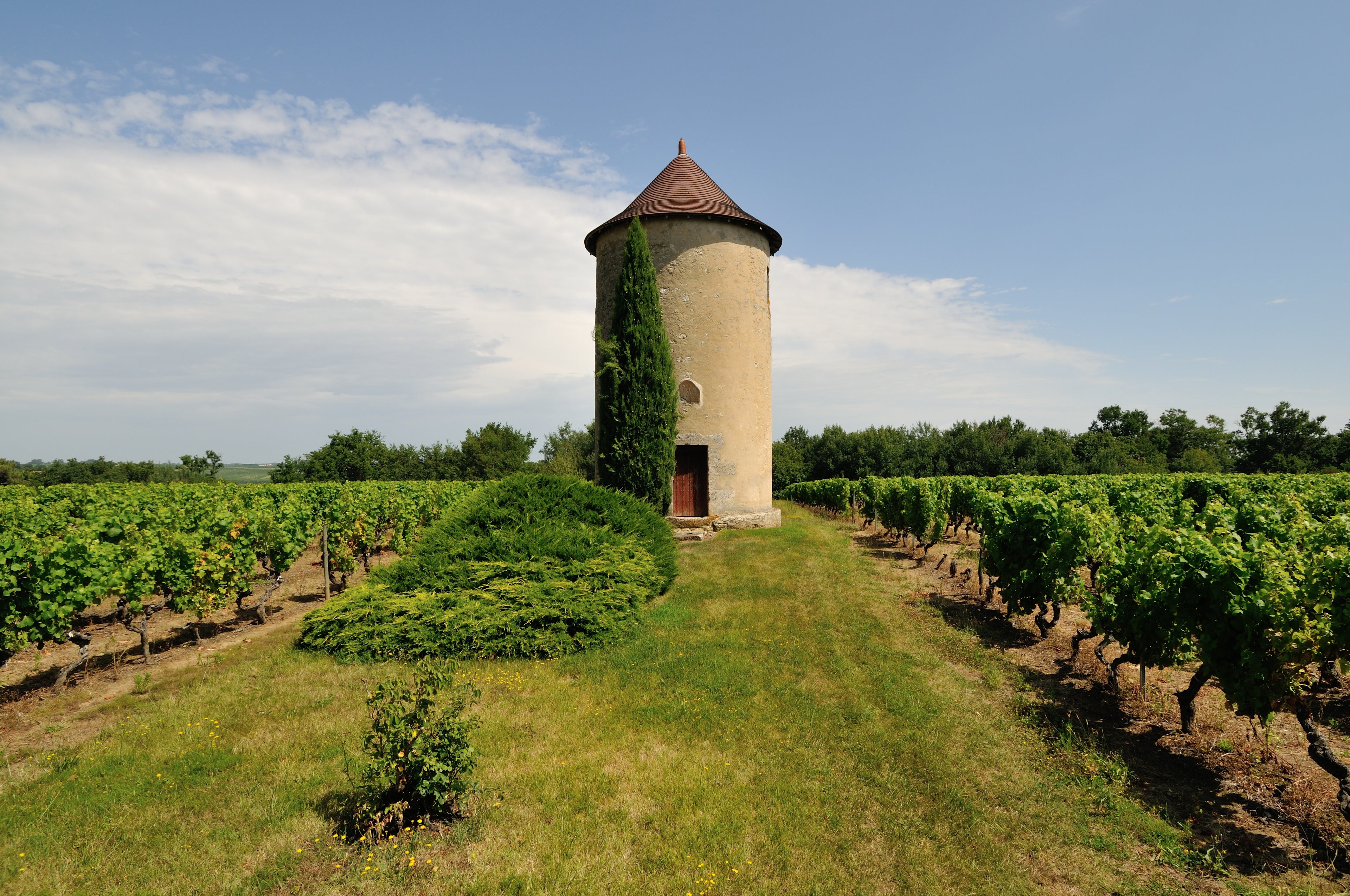 Red Wine Bordeaux Superieur 2022-Vignobles Dulon