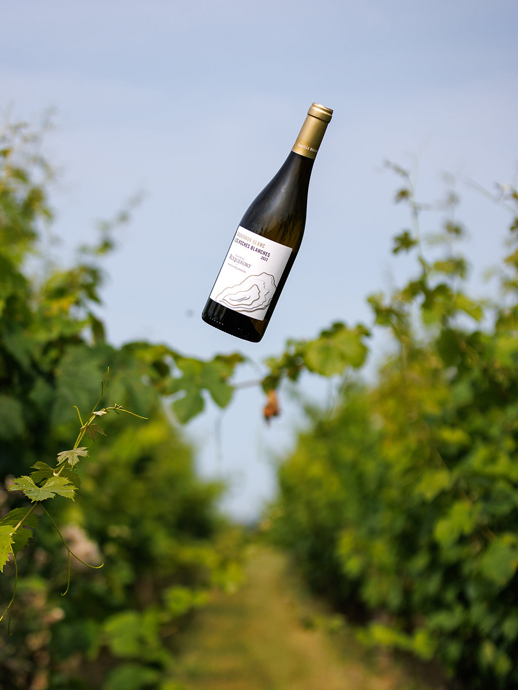 White Wine Les Roches Blanches-Chateau Roquefort
