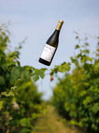 White Wine Les Roches Blanches-Chateau Roquefort
