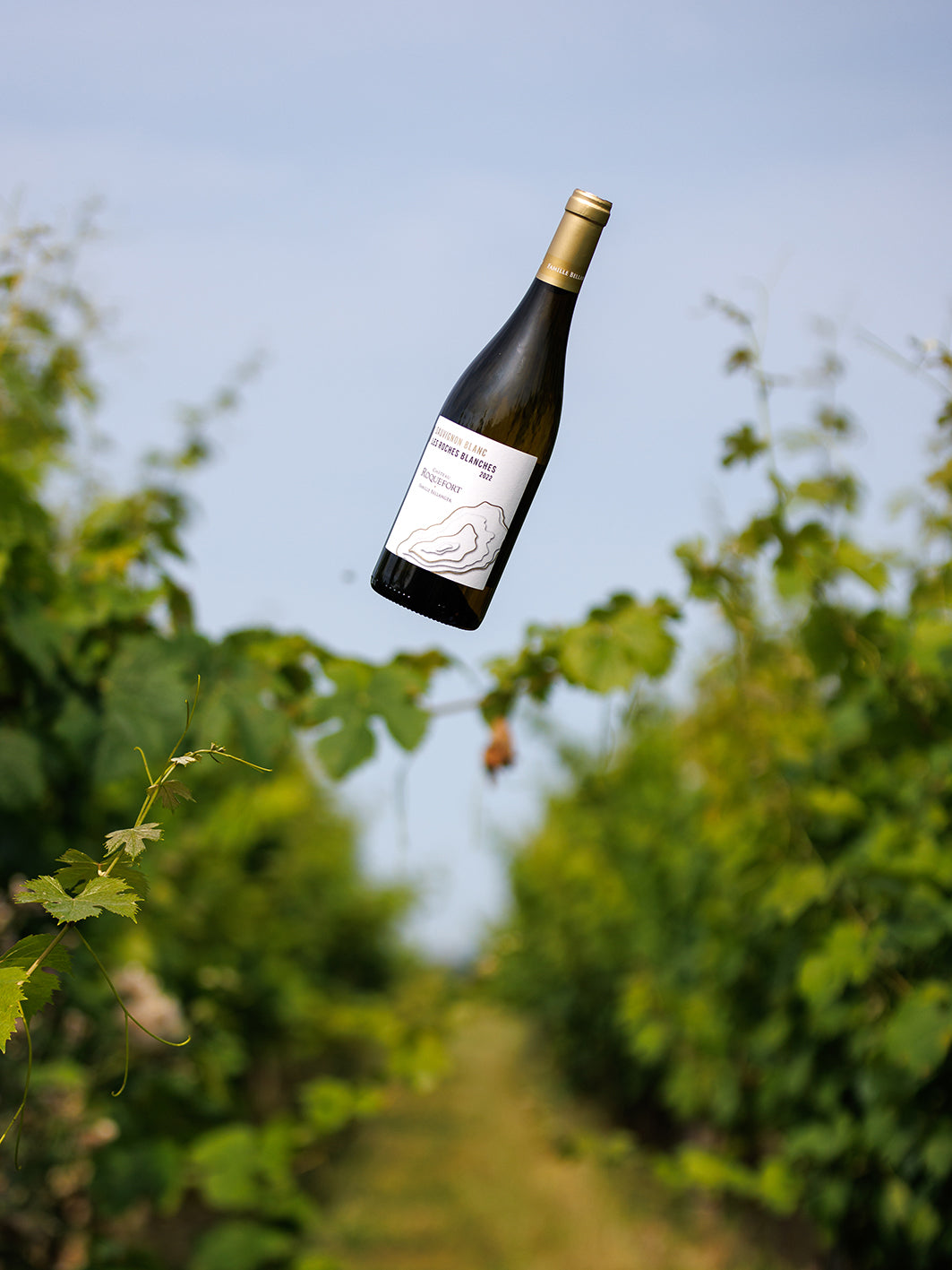 White Wine Les Roches Blanches-Chateau Roquefort