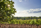 Rose Wine Garance-Chateau de la Gaude