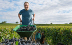 Red Wine Special Blend-Markus Iro