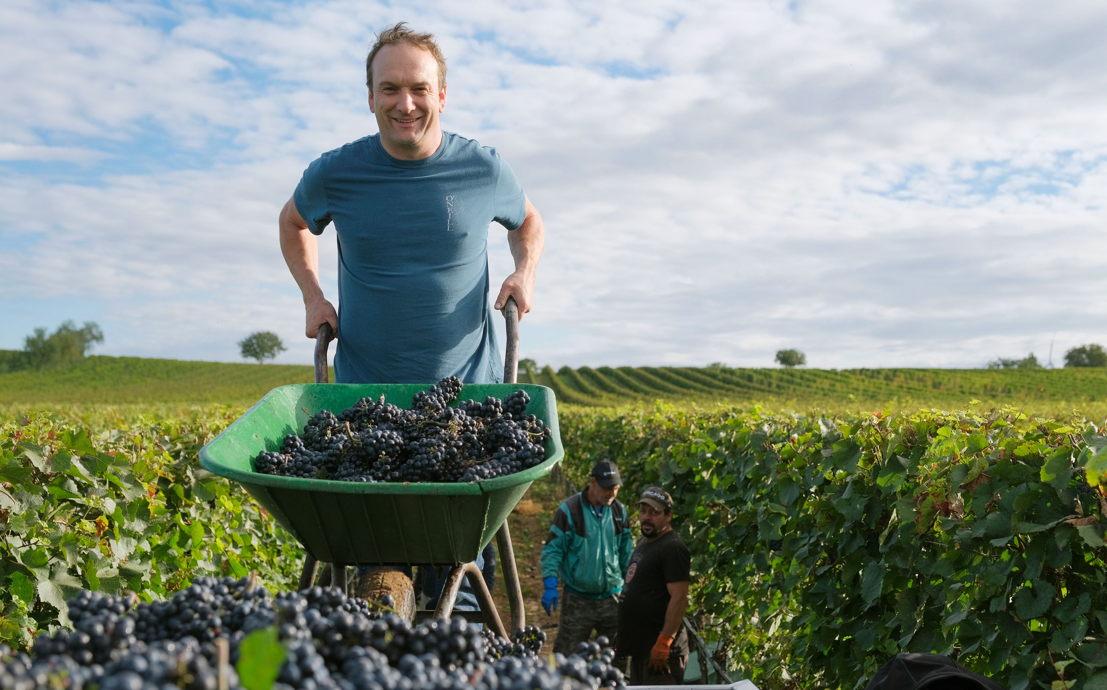 Red Wine Special Blend-Markus Iro