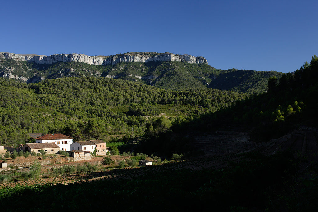 Red Wine Joana-Cellar San Rafel